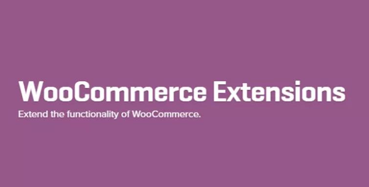 103 Woocommerce Extensions + Updates – 电商扩展插件