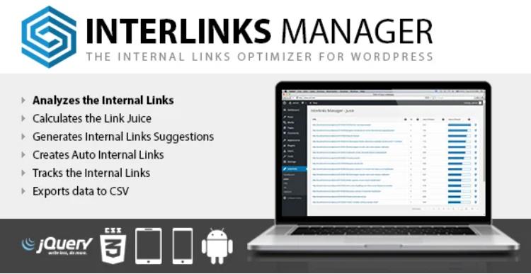 Interlinks Manager 链接管理插件 – v1.32