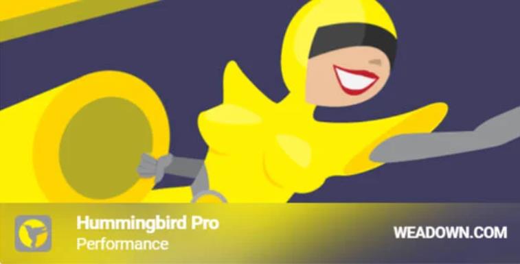 Hummingbird Pro – 自动化页面压缩优化缓存WordPress插件 – v3.4.5