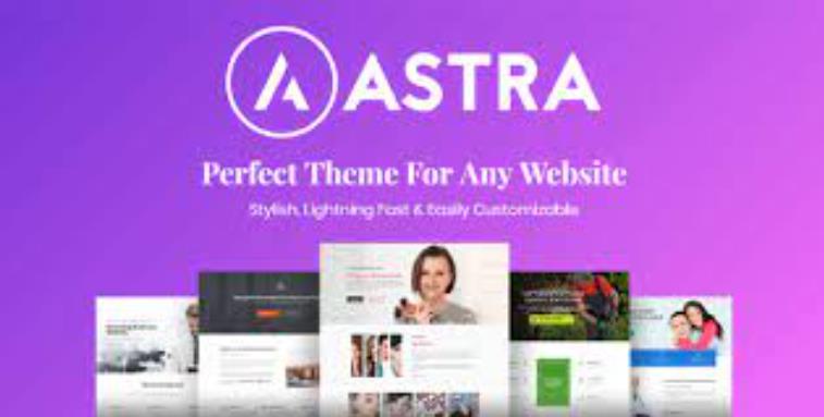 Astra Premium Starter Templates Pro – 专业简单模板布局构建插件 – v3.2.0
