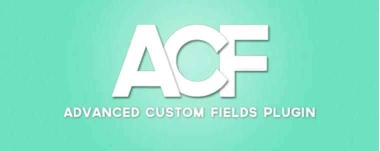 Advanced Custom Fields Pro – 高级自定义字段专业版WordPress插件 – v6.1.4