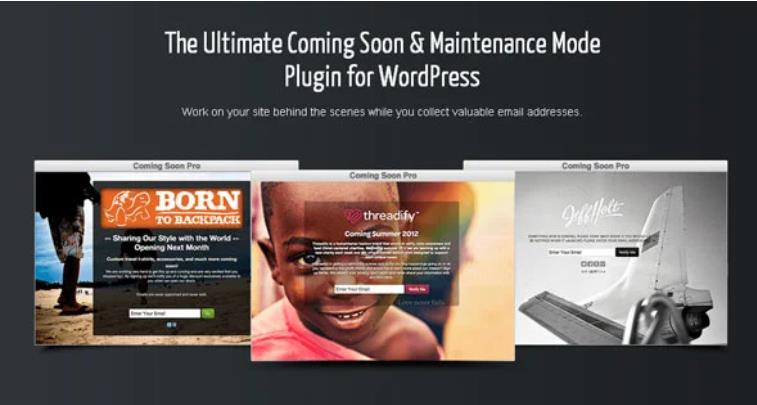 SeedPro – 即将推出倒计时WordPress插件 – v6.15.12