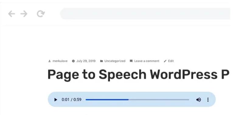 Speaker – 页面文本转换语音WordPress插件 – v3.4.6