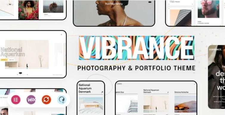 Vibrance – 摄影艺术作品展示WordPress模板 – v1.0.2