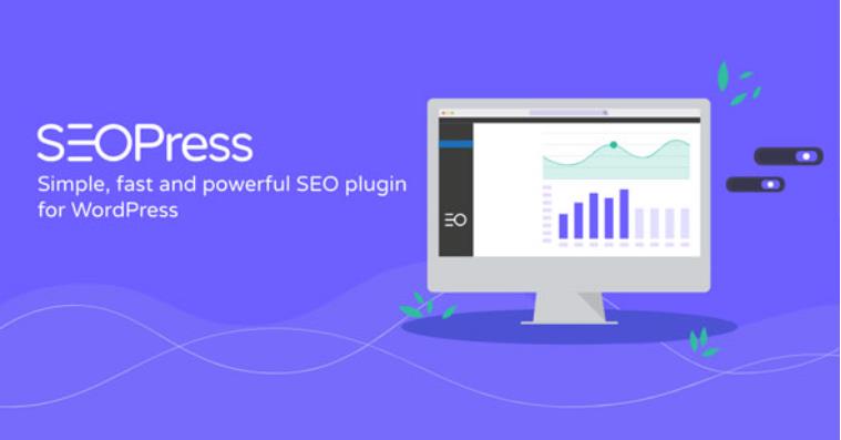 SEOPress PRO – WordPress SEO 关键词排名插件 – v6.6.2
