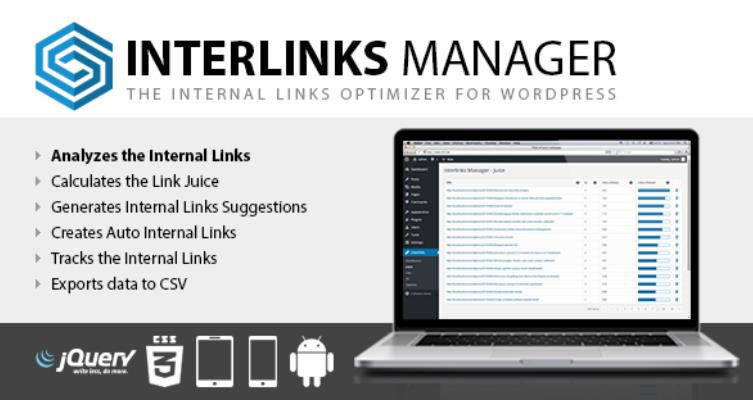 Interlinks Manager 链接管理插件 – v1.33