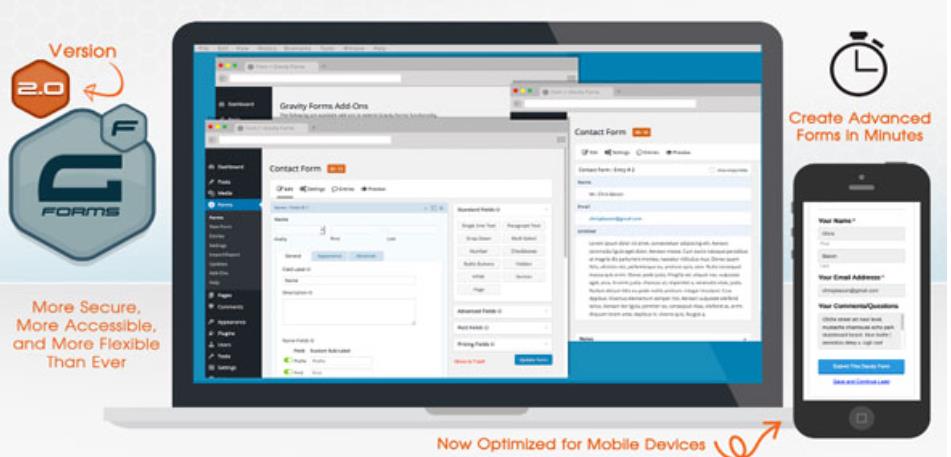 Gravity Forms 重力表单插件 – v2.7.7