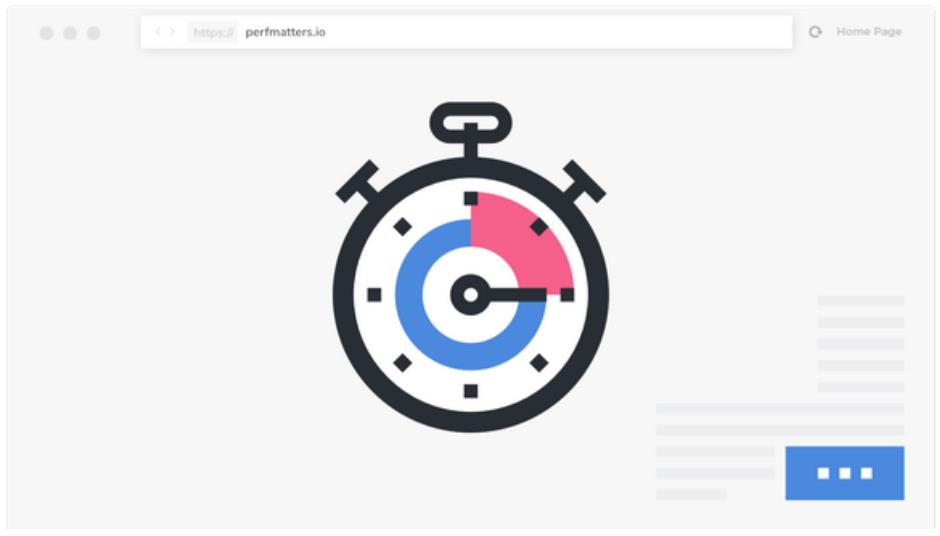 Perfmatters – 轻量级性能优化加速插件 – v2.1.1