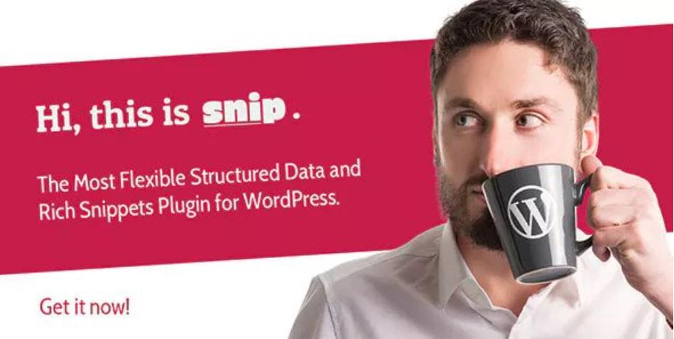 SNIP – 结构化数据WordPress插件 – v2.31.0