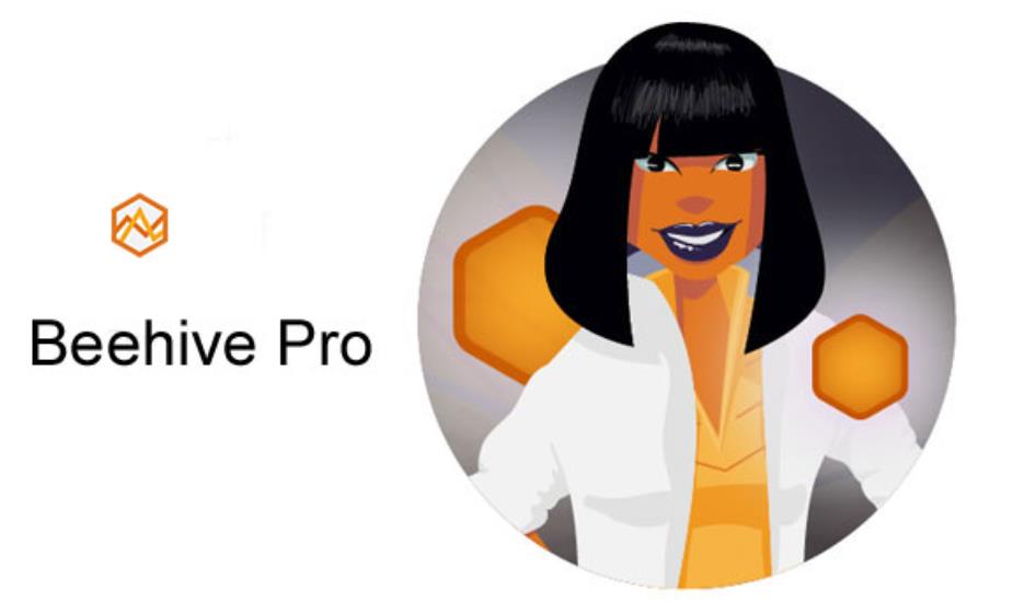 Beehive Pro – WordPress Plugin 网站流量分析插件 – v3.4.7