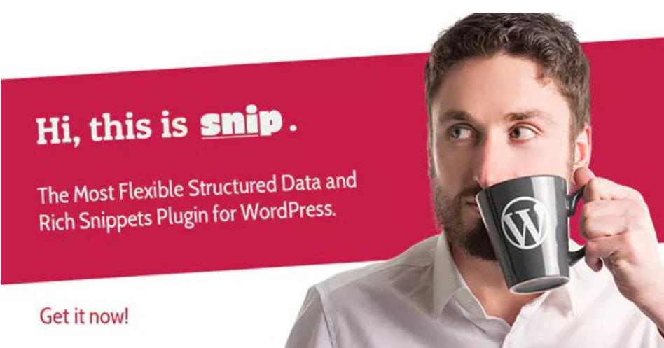 SNIP – 结构化数据WordPress插件 – v2.31.1