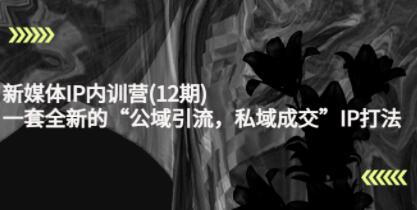 《新媒体IP内训营12期》一套全新的“公域引流，私域成交”IP打法
