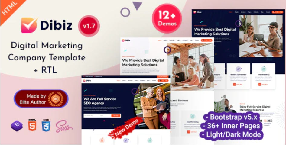 Dibiz – IT 信息技术SEO优化推广网站HTML模板 – v1.0