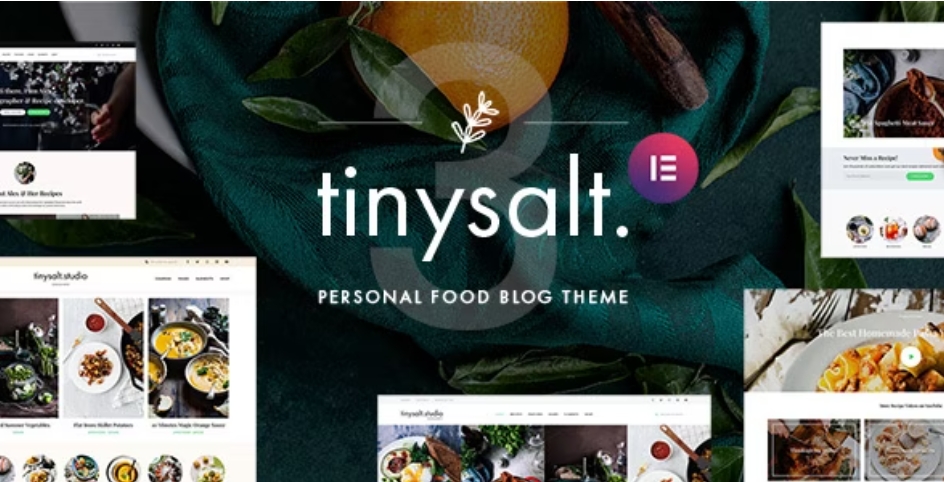 TinySalt – 个人美食餐饮食谱博客网站WordPress主题 – v3.5.0