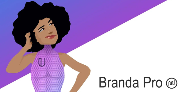 Branda Pro – WordPress维护模式标识LOGO管理插件 – v3.4.10
