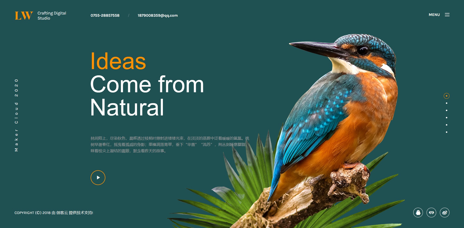 高端创意作品展示网站DedeCMS织梦模板