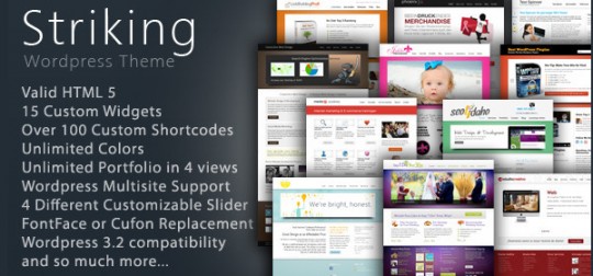 Striking – 企业商业网站模板WordPress主题 – v2.2.1