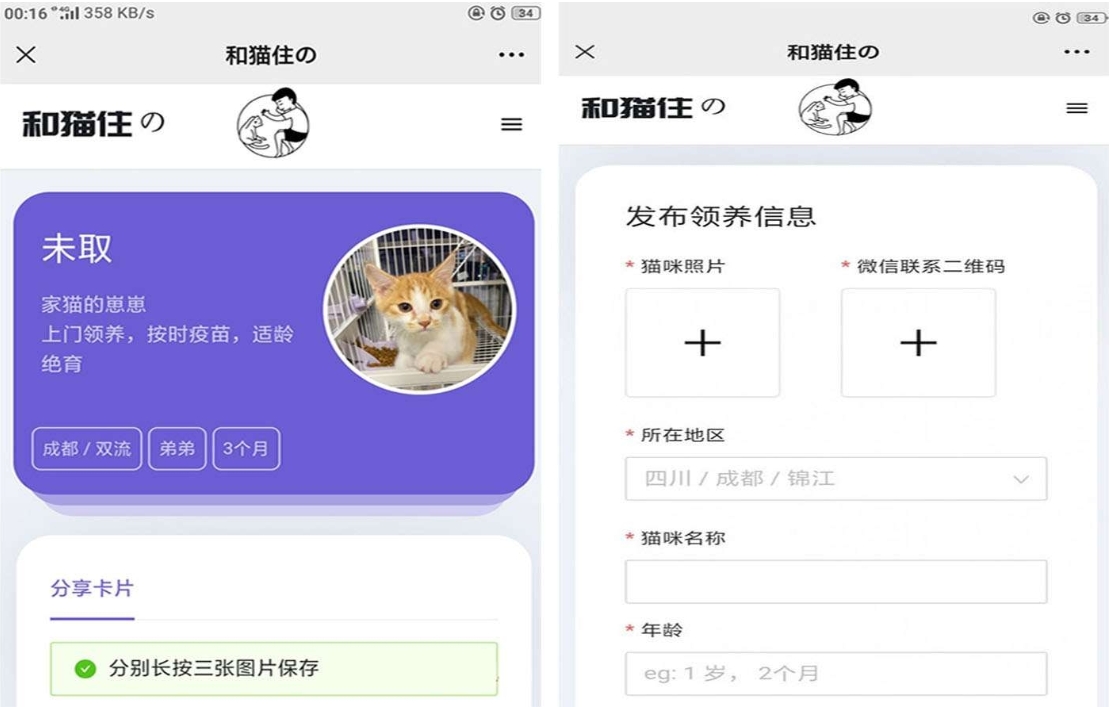 流浪猫流浪狗领养源码